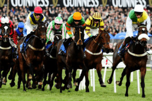 Cheltenham Club Enclosure Badge Friday Gold Cup Day Cheltenham Club Enclosure Badge Friday Gold Cup Day