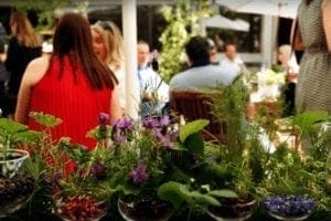 Chelsea Flower Show Hospitality